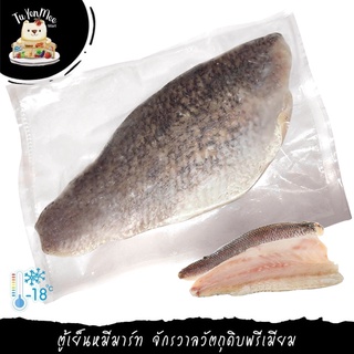 400-700G/PC เนื้อปลากะพงทะเลยักษ์แล่ฟิลเล่ (IQF GRADE) - BARRAMUNDI FILLET WITH SKIN