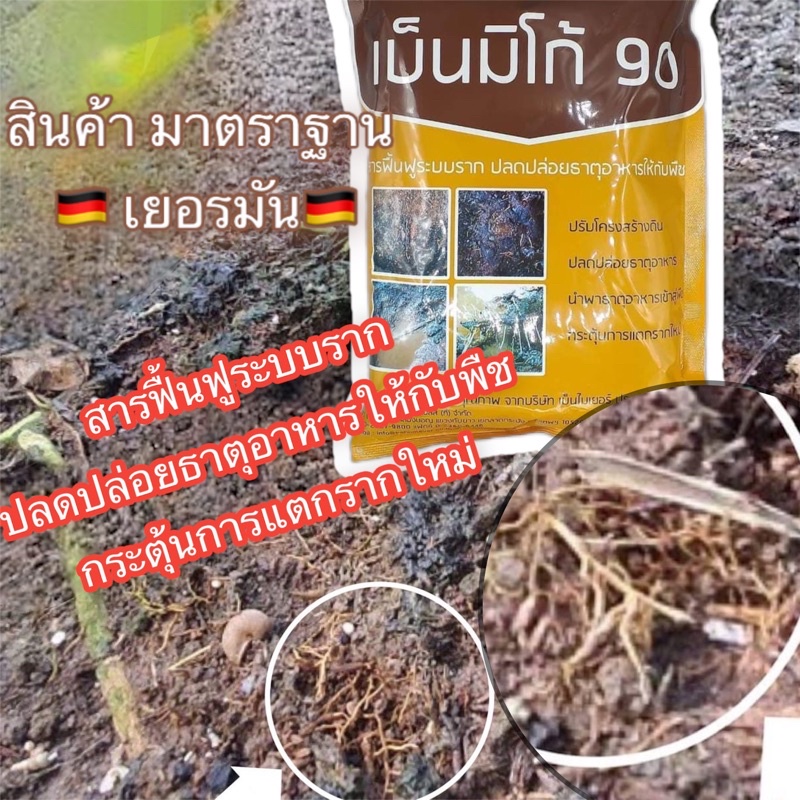 เร่งราก 🔥 เบ็นมิโก้ 90  ♻️ใช้ในทุเรียน 🌱เหนือกว่าฮิวมิคผงทั่วไป ความเข้มข้นสูง  จาก เยอรมัน ละลายน้ำ 100 % เห็นผลทันที