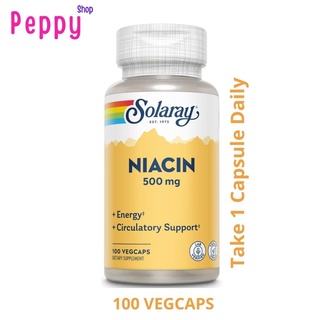 Solaray Niacin (Vitamin B 3) 500 mg 100 VegCaps ไนอะซิน วิตามินบี 3 ช่วยบำรุงระบบประสาทและสมอง 100 เวจจี้แคปซูล