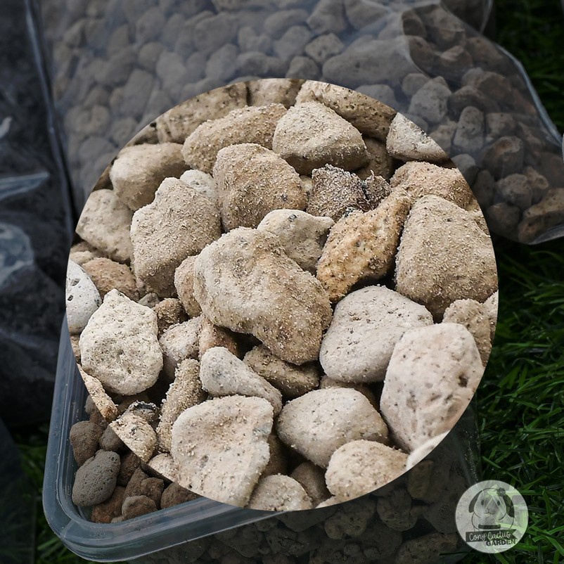 วัสดุปลูก  หินภูเขาไฟ พีทมอส ขนาด 0.5 ลิตร ขนาดแบ่งใช้ - รูปที่ 5