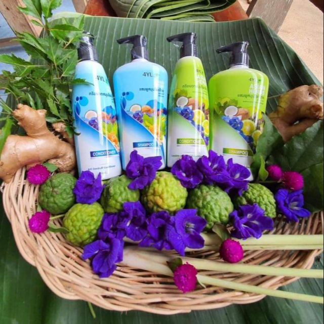 แชมพูสมุนไพร 4YL Thailand