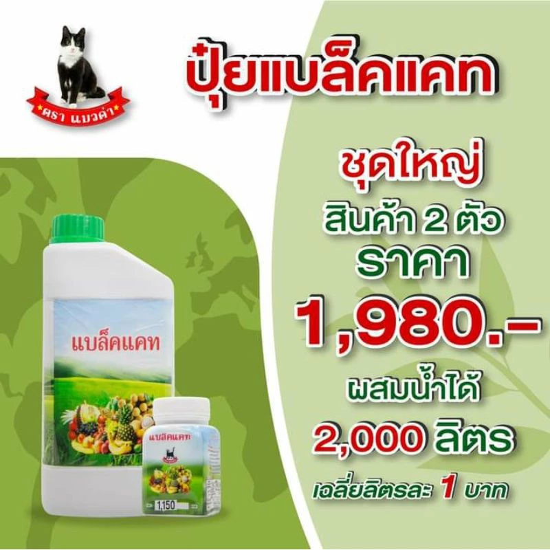 ปุ๋ยแบล็คแคท ปุ๋ยทางใบ ธาตุอาหารรอง ธาตุอาหารเสริม เสริมความสมบูรณ์ของต้น ฟื้นฟูต้นแบบเร่งด่วน