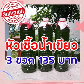 [ ชุด3 ขวด 135 บาท ]  หัวเชื้อน้ำเขียว (สาหร่ายคลอเรลล่า) ขนาด 1.5L พร้อมคลิปสอนอย่างละเอียด