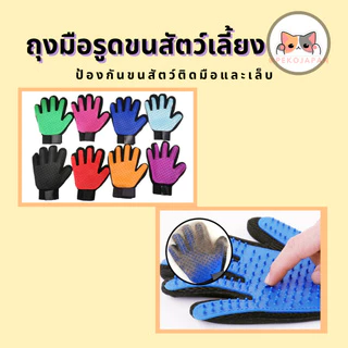 PEKO PET&CAT ถุงมือรูดขนสัตว์เลี้ยง ถุงมือรูดขนแมว ถุงมือรูดขนสุนัข ถุงมือรูดขนสัตว์ ราคาถูก