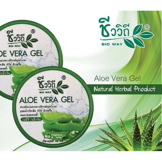 ชีววิถี อโรเวล่า เจล 100 กรัม Chivavithi ALOE VERA GEL 100 g. บำรุงผิว เจลว่านหางจระเข้  ไม่มีกลิ่น ไม่มีสี