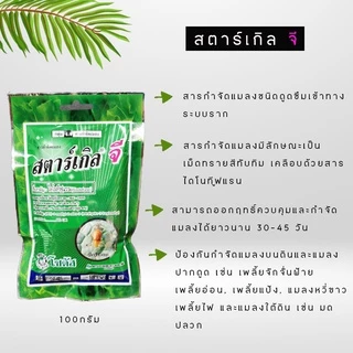 สตาร์เกิลจี สารกำจัดแมลง มด เพลี้ยไฟ เพลี้ยแป้ง