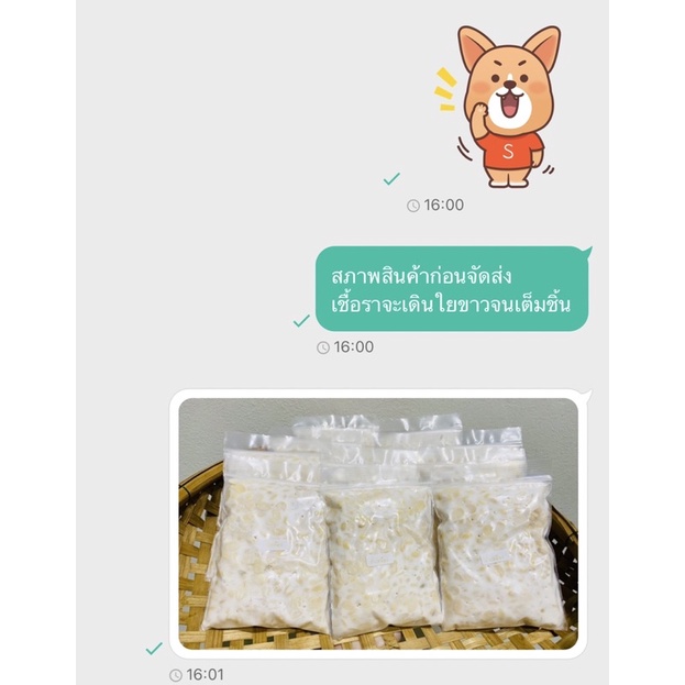 Tempeh เทมเป้สด (งาดำ+ถั่วเหลือง) 100 กรัม ❗️ กดเลือกส่งแบบเย็น แถม 1 ชิ้นทุกออเดอร์