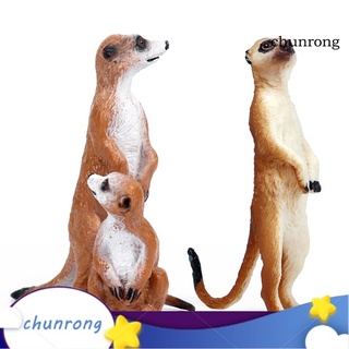 Cr--ฟิกเกอร์ตั้งโต๊ะ Meerkat Wild Animal ของเล่นสําหรับเด็ก