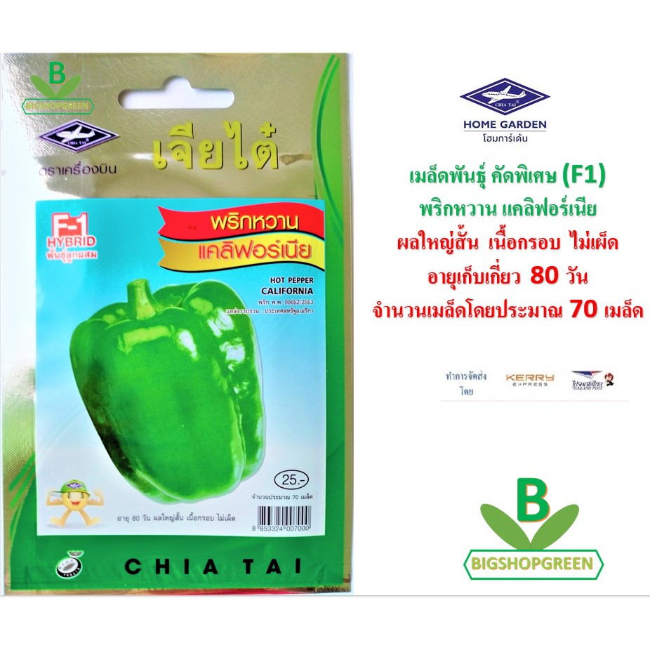 5 ฟรี 1 คละได้ เมล็ดพันธุ์ พริกหวาน แคลิฟอร์เนีย ตรา เจียไต๋ เมล็ดพันธุ์คัดพิเศษ F1 เมล็ดผัก เมล็ดพันธุ์พืช เมล็ดพืช