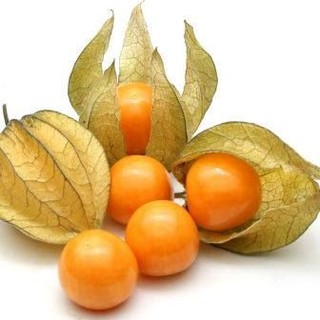 เมล็ด แคปกูสเบอรี่ - Cape gooseberry