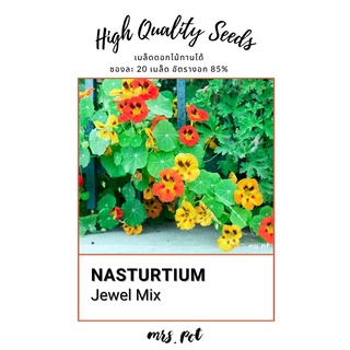 เมล็ดดอกไม้กินได้ Nasturtium สายพันธุ์ Jewel Mix