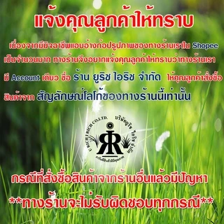 ใบมีดตัดหญ้า10 นิ้ว แบบเงามะละกอ ยี่ห้อ MAKISAW