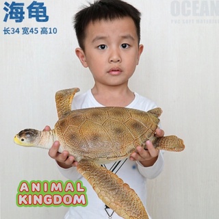 Animal Kingdom - โมเดลสัตว์ เต่าทะเล น้ำตาล ขนาด 41.00 CM แบบนิ่ม (จากสงขลา)