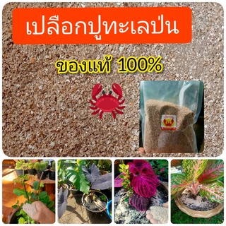 เปลือกปูบด  ผงกระดองปูป่น 500 กรัม (แบบละเอียด) ไม่มีอย่างอื่นป่น มีธาตุอาหารครบถ้วน ไคตินสูง ช่วยให้พืชแข็งแรง ผสมดินดี