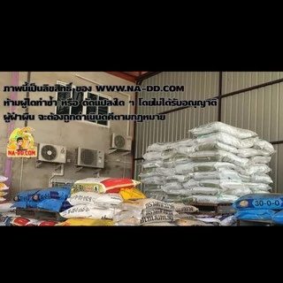 🌱ของแท้🌱วัสดุปลูกพีทมอส คลาสแมน พอทกราวด์-เอช 70 ลิตร ดินพีทมอส วัสดุเพาะกล้า ดินเพาะกล้า **ออเดอร์ละ 1 กระสอบ**