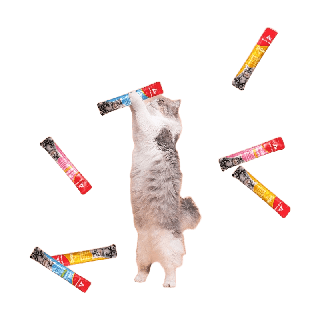 [มีโปรของแถม] Söpö Kalaa ขนมเเมวเลีย ขนมแมว 16 ก. 50ซอง cat snack stick 16g 50 sticks