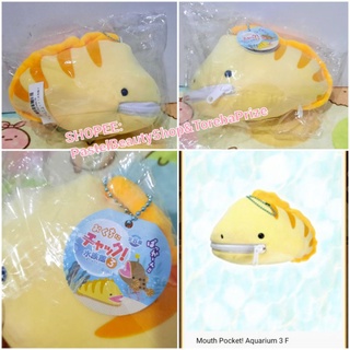 พร้อมส่ง✅[TOREBA][🇯🇵นำเข้าจากญี่ปุ่น🇯🇵] ตุ๊กตา กระเป๋าเล็ก ปลาไหล Eel Mouth Pocket Aquarium