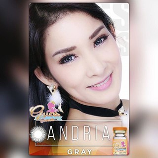 Andriel gray by TATOTO Contact Lenses บิ๊กอาย #134