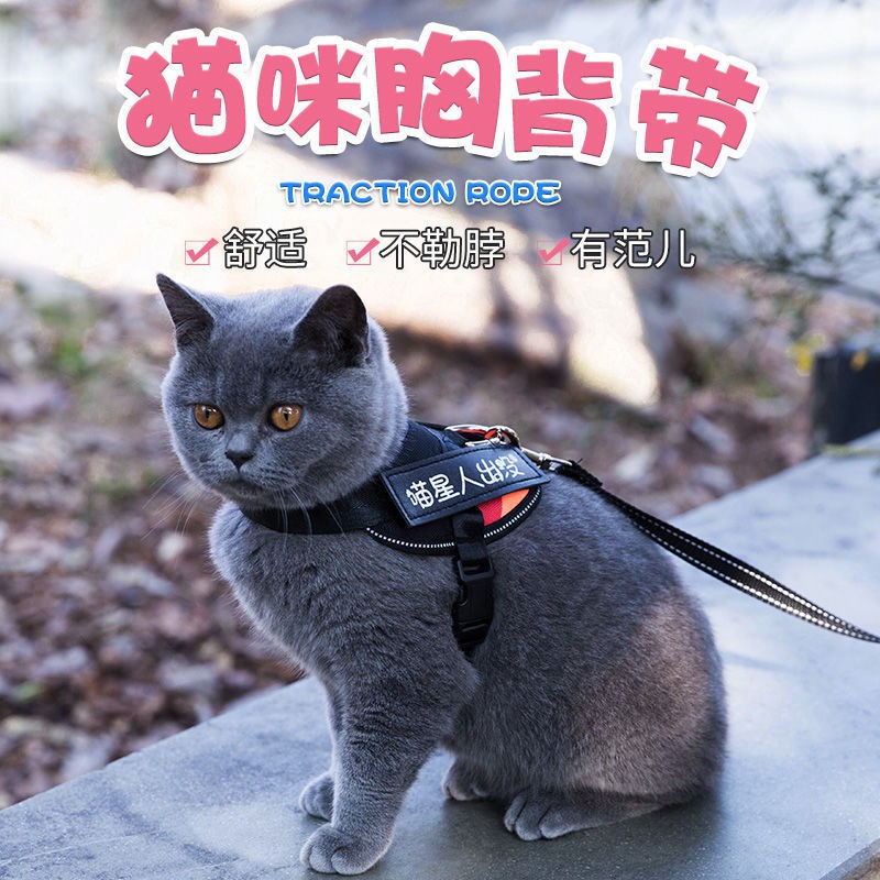 ♛№> สัตว์เลี้ยง Cat traction rope vest-style chest harness สำหรับแมว ...