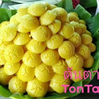 แป้งขนมตาลสำเร็จรูป ตราต้นตาล (ชุดใหญ่-L )