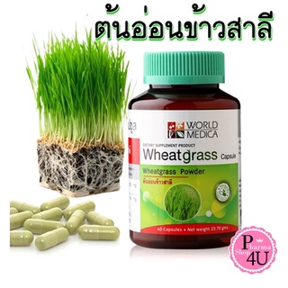 Khaolaor Wheat Grass Capsule 60 Capsules สมุนไพรไว้ใจขาวละออกับผลิตภัณฑ์เสริมอาหารต้นอ่อนข้าวสาลี #9963