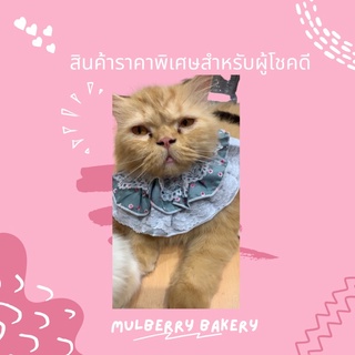 สินค้าราคาพิเศษสำหรับผู้โชคดีจากร้านMulberry Bakery