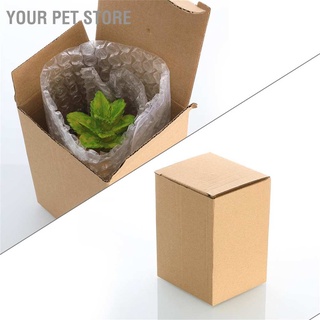 Your Pet Store เครื่องประดับตู้ปลา บ้านปลาน่ารัก สําหรับภูมิทัศน์