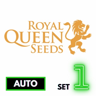 🔥Preorder🔥เมล็ดค่าย🌱Royal Queen Seeds🌱Auto⭐️ส่งฟรี🚨มีปลายทาง ส่งตรงจากนอกแท้100%⭐️ยกแพค/แยกเมล็ด⭐️อย่าเสี่ยงกับเมล็ดไม่มีที่มา#1