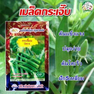 เมล็ดกระเจี๊ยบเขียว Okra ตราภูเขาทอง เมล็ดกระเจี๊ยบ เมล็ดพันธุ์กระเจี๊ยบ เมล็ดพันธุ์กระเจี๊ยบเขียว กระเจี๊ยบเขียว