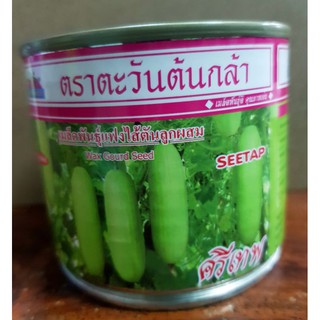 เมล็ดพันธุ์แฟงไส้ตันลูกผสม "ศรีเทพ" นน.50 กรัม