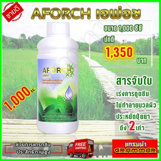 🔥🔥 ส่งฟรี 🔥🔥 เอฟอช Aforch สารจับใบ ( ขนาด 1000 ซีซี ) สารจับใบ ชนิดเร่งดูดซึมไว ของแท้ 100% { ส่งฟรี เก็บเงินปลายทาง }