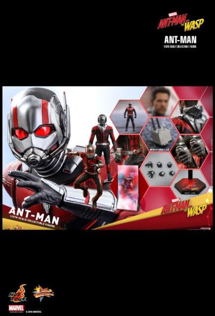 HOT TOYS MMS497 ANT-MAN AND THE WASP : ANT-MAN