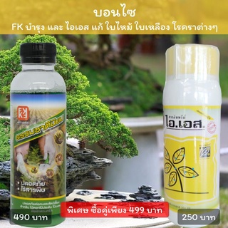 ปุ๋ยบอนไซ รักษาโรคบอนไซ ใบเหลือง ใบจุด ใบไหม้ ขาดธาตุ ใช้ ไอเอส + FKธรรมชาตินิยม #ปุ๋ยบอนไซ #บอนไซใบแห้ง