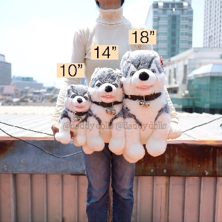 ตุ๊กตา Sitting Siberian Husky ไซบีเรียนฮัสกี้ 10/14/18นิ้ว Anee Park อานี ปาร์ค สุนัข หมา