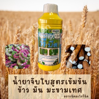 น้ำยาจับใบ ที-บีส สูตรเข้มข้น ใช้ได้ 50ไร่