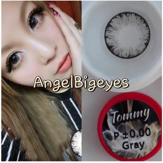 (1) Tommy / Kayo / Icy Gray 3tone 3 tone บิ๊กอาย สีเทา เทา โทนแบ๊ว Pitchy Lens Contact Lens Bigeyes คอนแทคเลนส์ ค่าสายตา