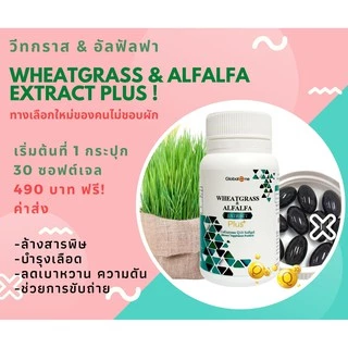 ผักเม็ดเสริมภูมิ Wheatgrass & Alfalfa Extract Plus Q10
