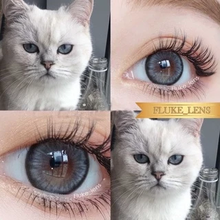คอนแทคเลนส์ รุ่นตาไบรท์สวย 💖 Apple Bloom brown , gray 💖 Luxzylens ใส่สบายตามาก เลนส์กรองแสง ของแท้✅ Made in Korea