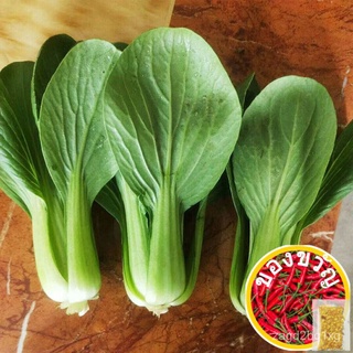 100pcs Pak Choi Seeds Organic Vegetable Seeds Nutritious and Delicious Little Cabbage Fresh Green Vegetable Seedsseeds/ก