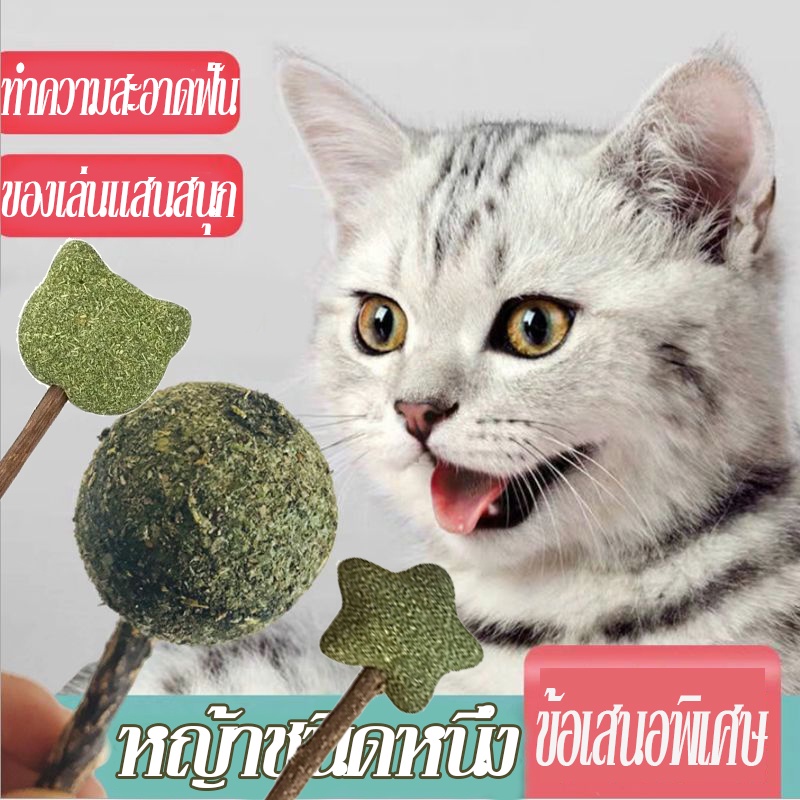 เตรียมจัดส่ง ขนมแมวเลีย อมยิ้มแมว แคทนิปบอล รวมที่สุดของโปรดน้องแมว ขัดฟันแมว กัญชาแมวเลีย สมุนไพร