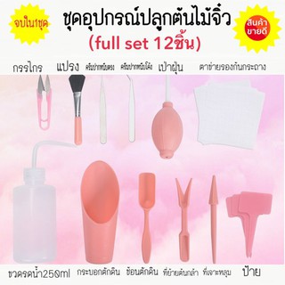 อุปกรณ์ปลูกต้นไม้ Set 12ชิ้น/16ชิ้น สำหรับปลูกแคคตัส, ไม้อวบน้ำ ดีไซน์น่ารัก สไตล์มินิมอล สีชมพู กับ ฟ้า