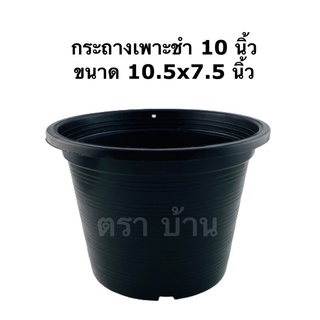 กระถางเพาะชำ ขนาด 10 นิ้ว 10.5x 7.5 นิ้ว สีดำ แพค 12 ใบ