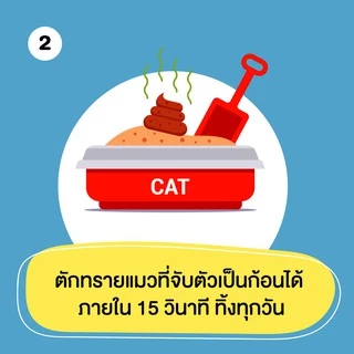 (4แถมฟรี1 ขนาด 2.72 kg เฉพาะ 15-17 Aug26) Dr.Choice BioNature Cat Litter - ทรายแมวมันสำปะหลังธรรมชาติ 100% (2.72 -5 kg)