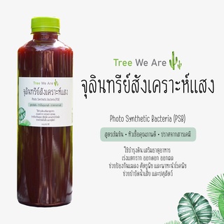 [600 mL] จุลินทรีย์สังเคราะห์แสง เข้มข้น หัวเชื้อ คุณภาพดี ปราศจากสารเคมี บำรุง พืช ผัก สวนครัว ต้นไม้ ปุ๋ย บำรุงดิน