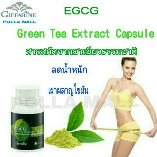 ชาเขียว อีจีซีจี กิฟฟารีน EGCG Giffarine ลดน้ำหนัก ทำลายเซลล์มะเร็ง