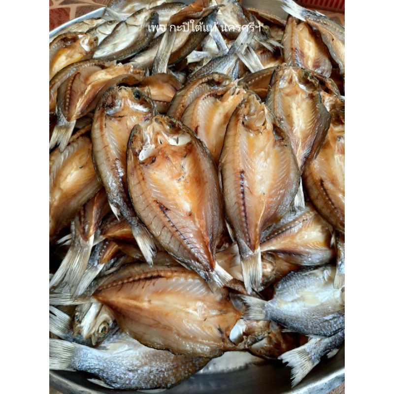 ปลากระบอกแห้ง จากเรือประมงพื้นบ้าน ผ่าหลัง ตากแห้งกำลังดี ขนาด 500 กรัม (ฮาลาล)