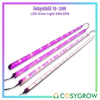 หลอดไฟLED T8 ไฟ Grow Light 30W 220V ความยาว 120CM ไฟปลูกต้นไม้สำหรับโคลนนิ่ง ปลูกผักไฮโดรโปรนิก แคคตัส สตอเบอรี่