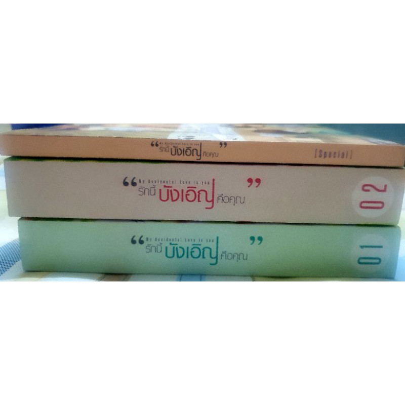 บังเอิญรัก My Accidental Love is You รักนี้บังเอิญคือคุณ เล่ม 1-2 (จบ) (+Special) (Yaoi) – MAME