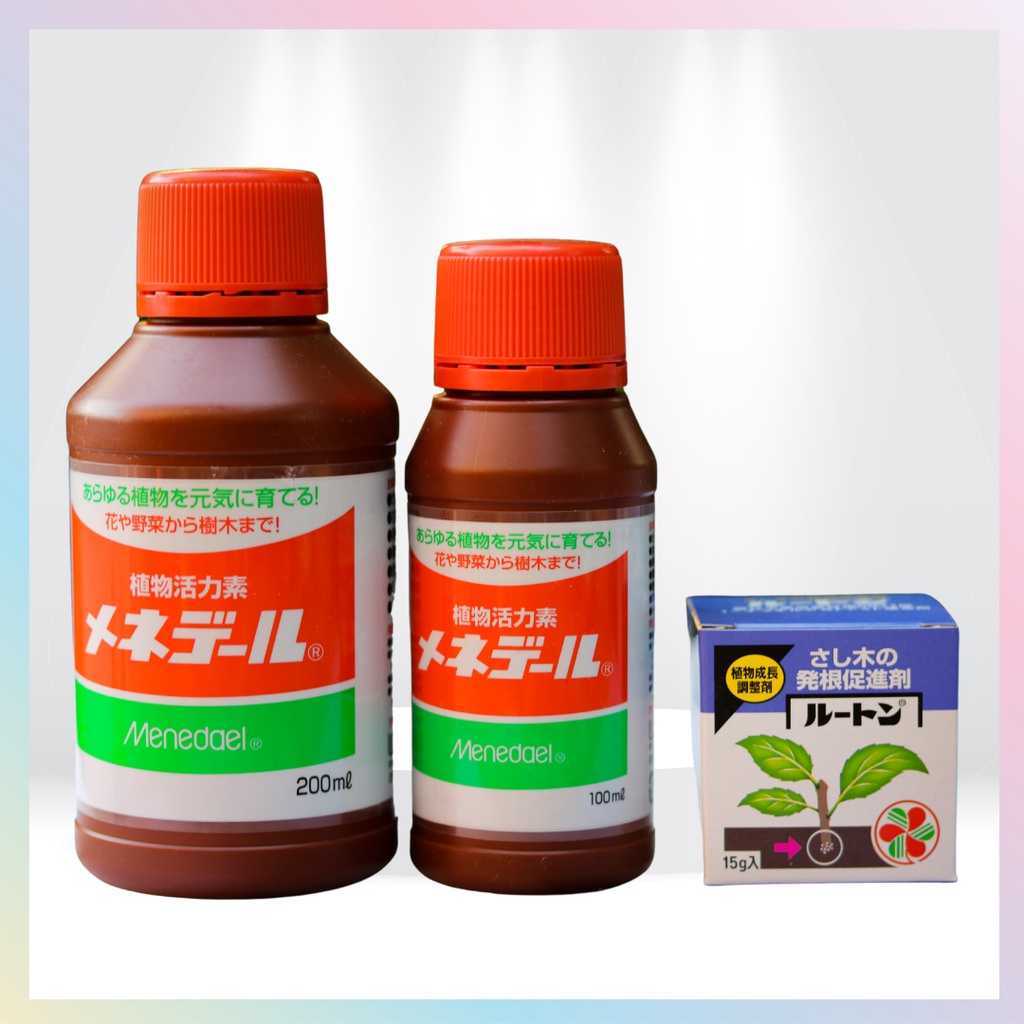 พร้อมส่ง Menedael เมเนเดล น้ำยาเร่งราก ผงเร่งราก ลูตัน Lutonจากญี่ปุ่น บำรุงราก ช่วยรากเจริญเติบโตไว เร่งรากไม้ด่าง