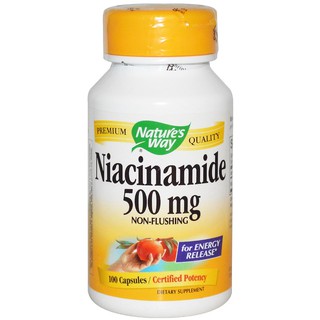 Natures Way, Niacinamide, 500 mg, 100 Capsules